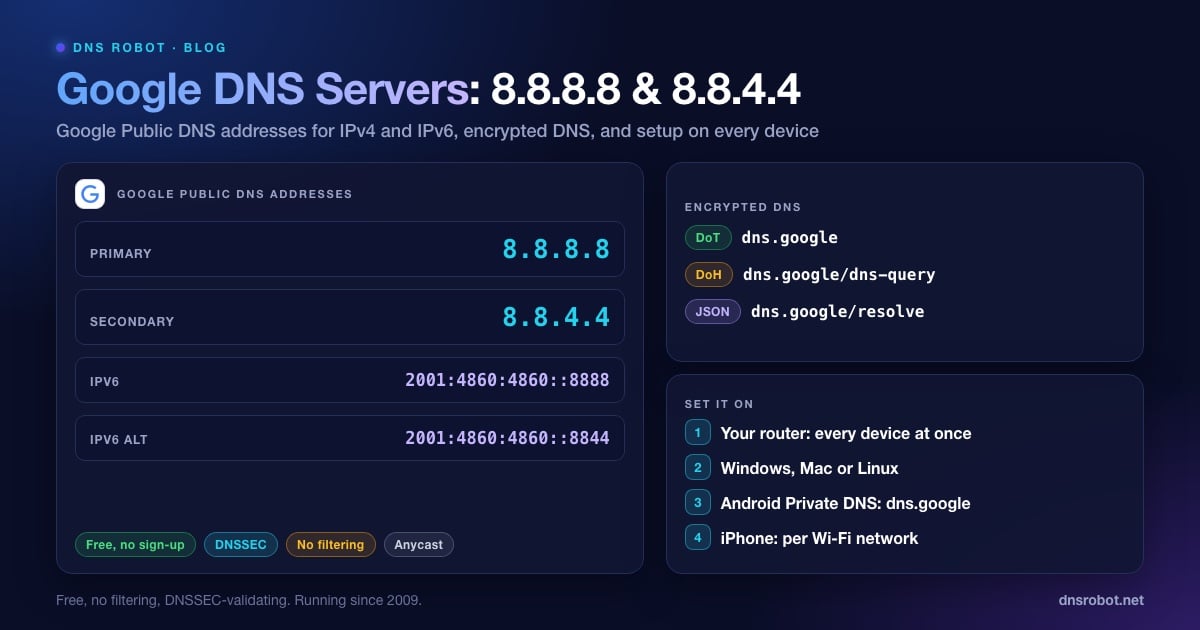 Google DNSサーバー8.8.8.8と8.8.4.4、IPv6アドレス、dns.googleのDoH/DoTエンドポイントをまとめた図解