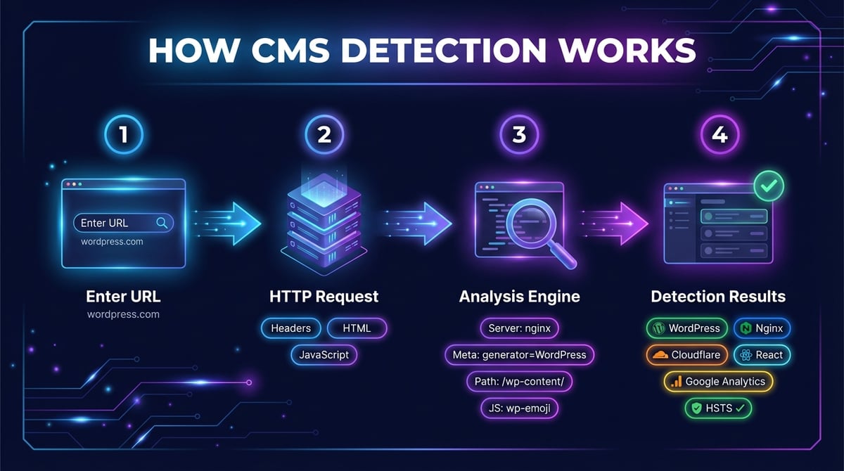 CMS Detector — What CMS Is This Website Using? (Checker) | DNS Robot