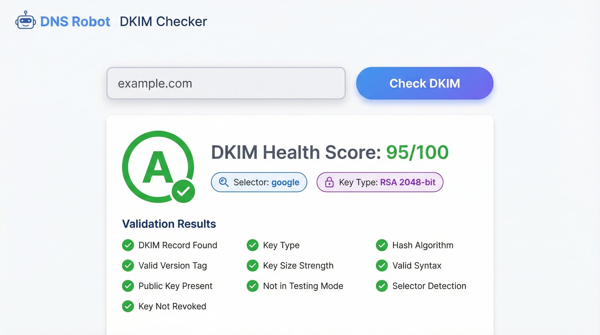 DKIM checker showing validation results with health score, key analysis, and auto-detected selector