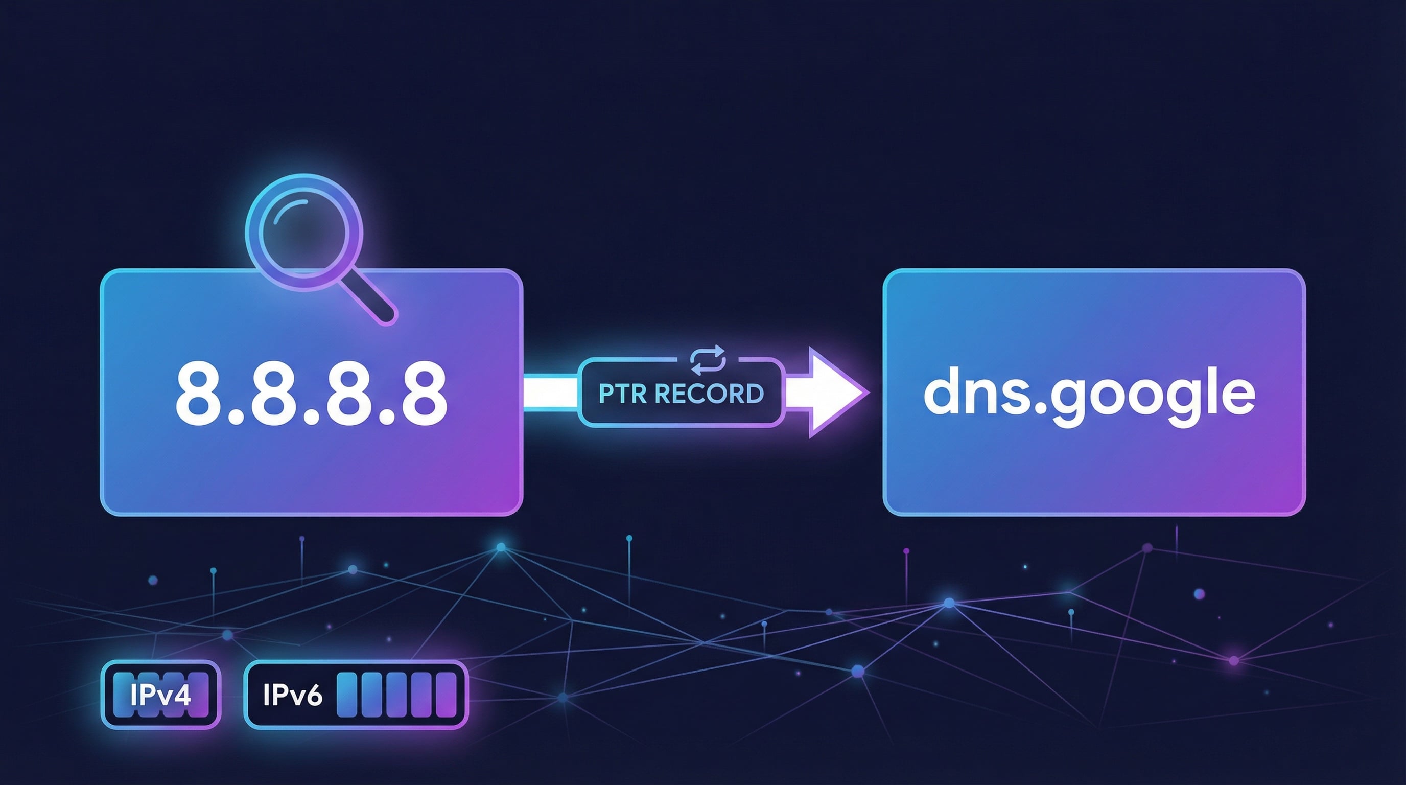 Reverse DNS lookup results showing PTR record resolution from IP address to hostname with response time