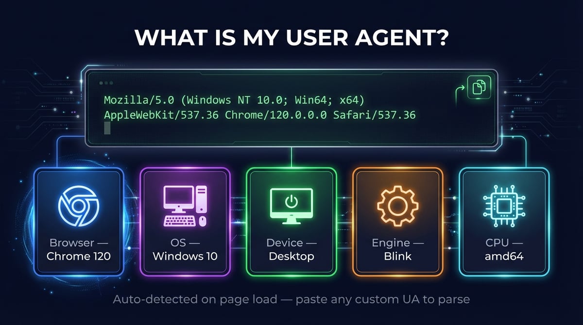 What Is My User Agent? — Free User Agent Checker | DNS Robot