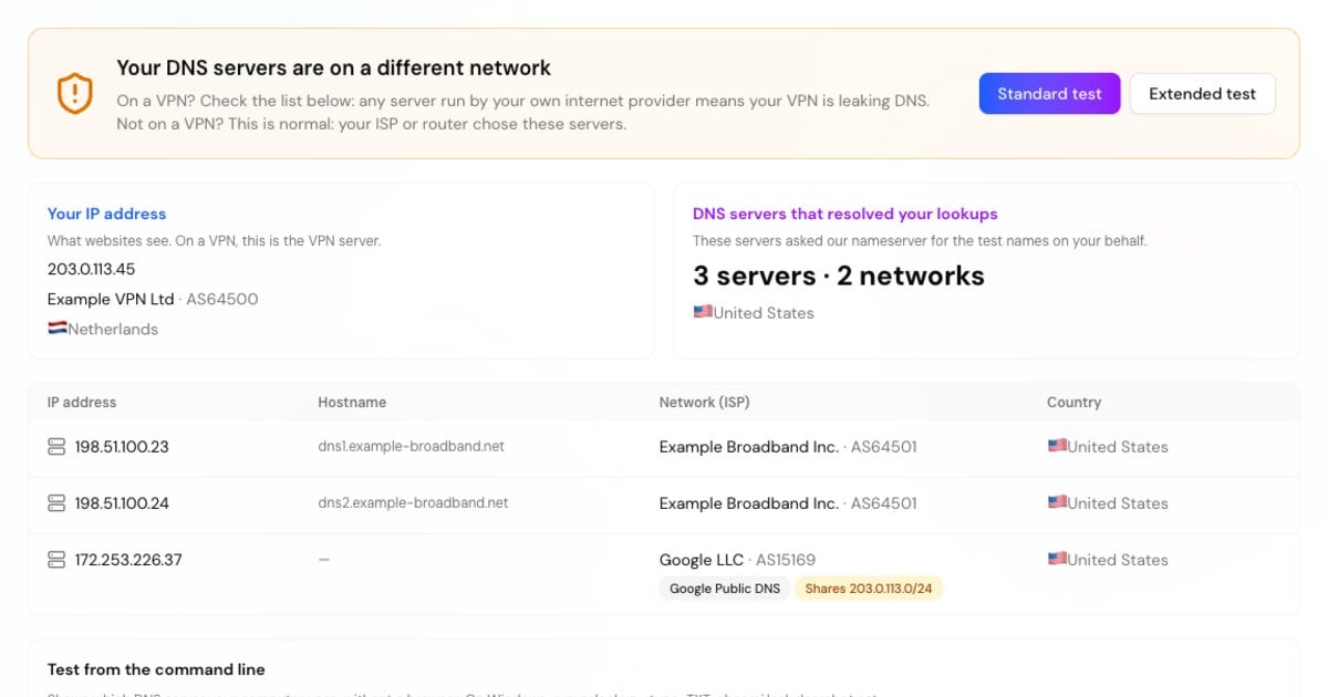 Resultado del test de fugas DNS con la red de la IP del visitante junto a los servidores DNS que resolvieron las consultas