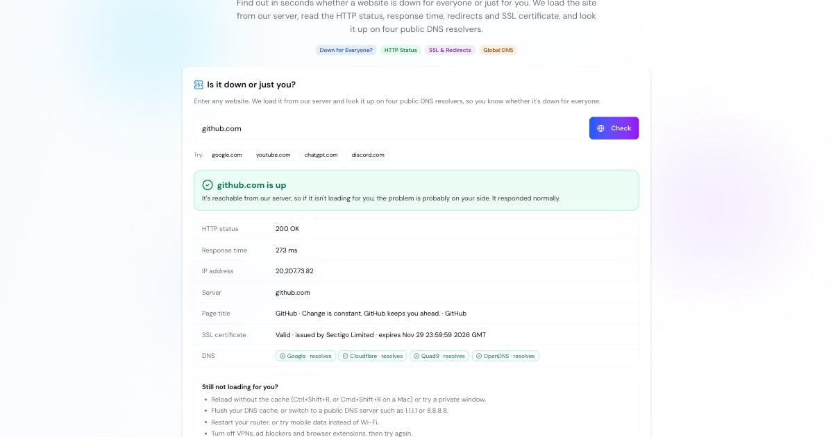 Website-Down-Checker zeigt eine erreichbare Seite mit HTTP-Status, Antwortzeit, SSL-Zertifikat und DNS-Ergebnissen