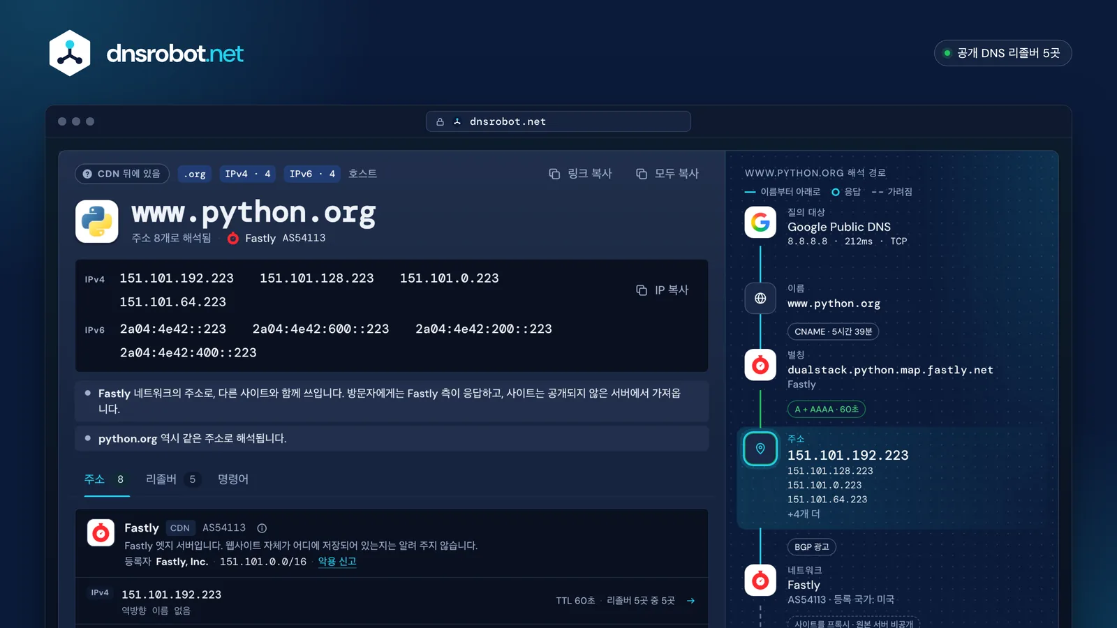도메인 IP 조회 결과: 도메인의 IPv4·IPv6 주소와 CNAME 체인, 네트워크 소유자, DNS 리졸버 5곳의 응답
