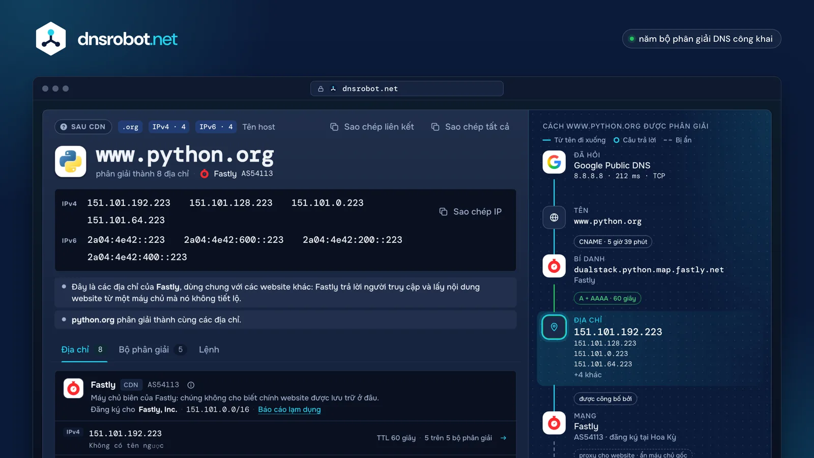 Kết quả tra cứu IP tên miền: địa chỉ IPv4 và IPv6, chuỗi CNAME, chủ sở hữu mạng và năm bộ phân giải DNS