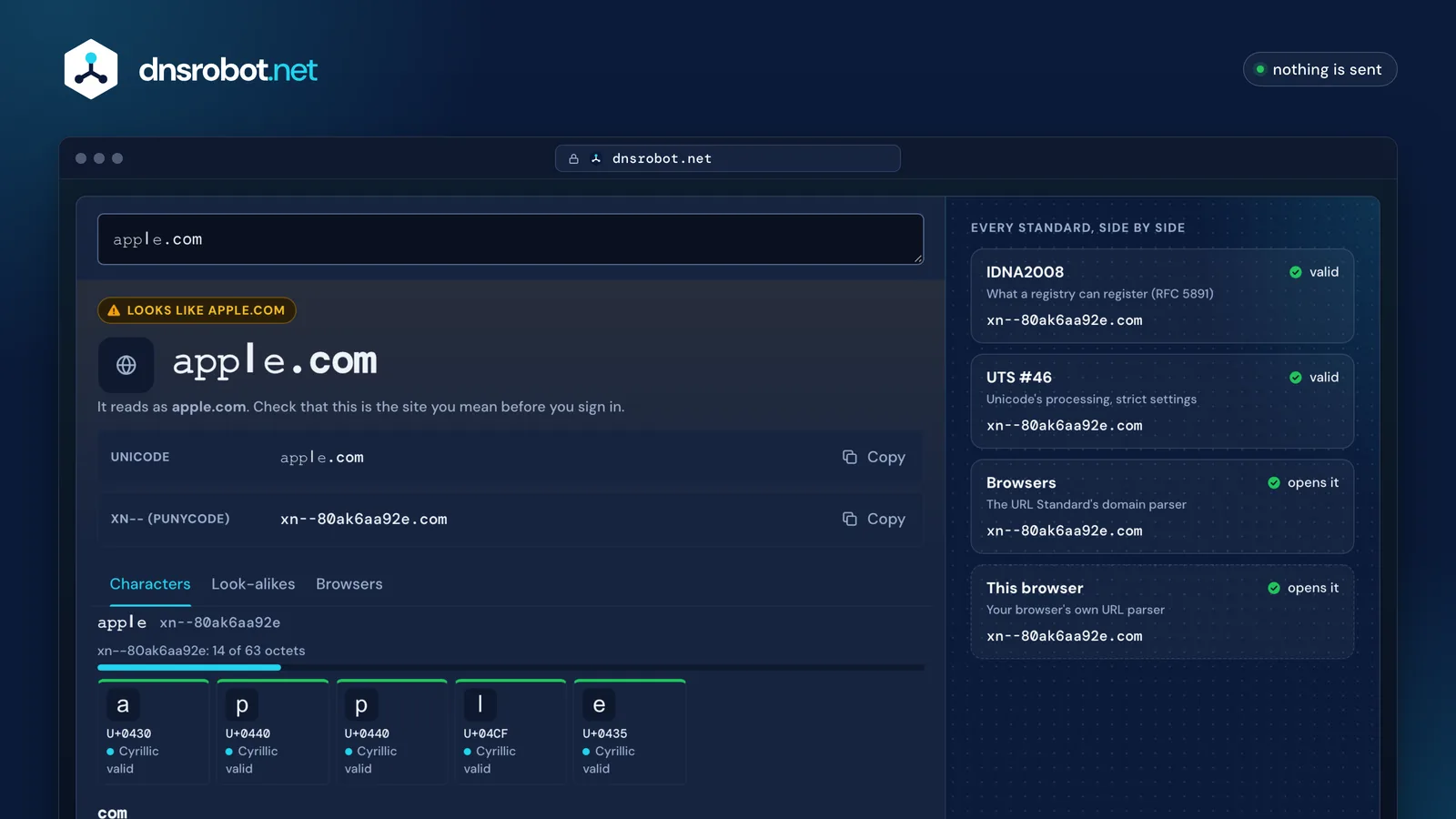 Punycode converter: a look-alike domain decoded, with the standards side by side, each character's script and how browsers show it