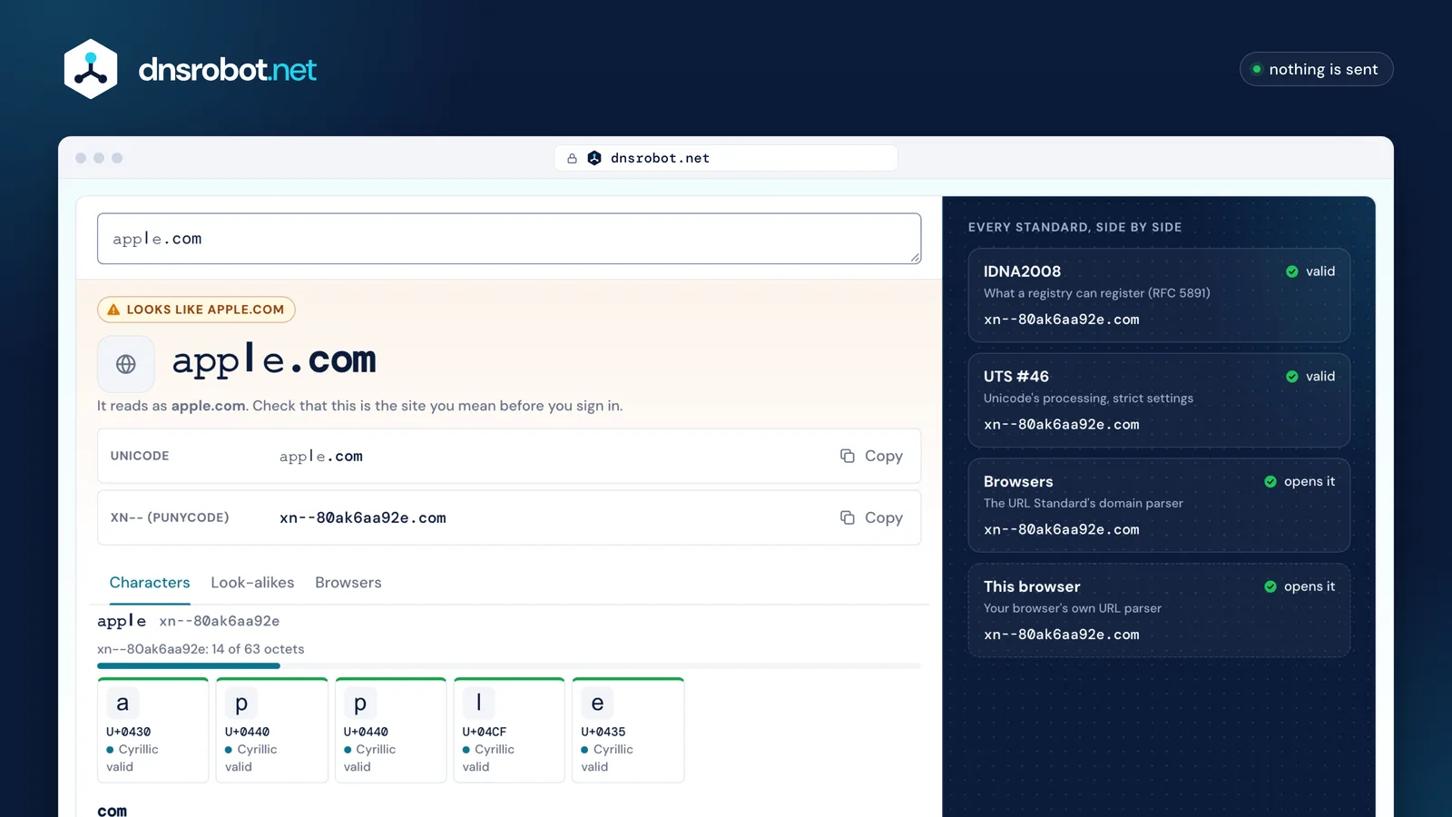 Punycode converter: a look-alike domain decoded, with the standards side by side, each character's script and how browsers show it