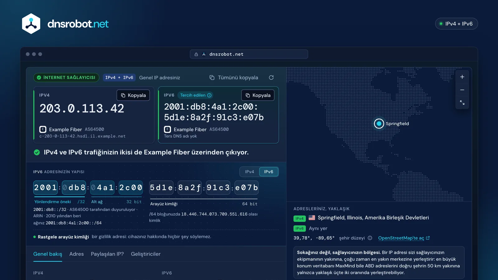 IP adresim sonucu: genel IPv4 ve IPv6 adresleri yan yana, arkalarındaki ağ, adresin yapısı ve konum haritası